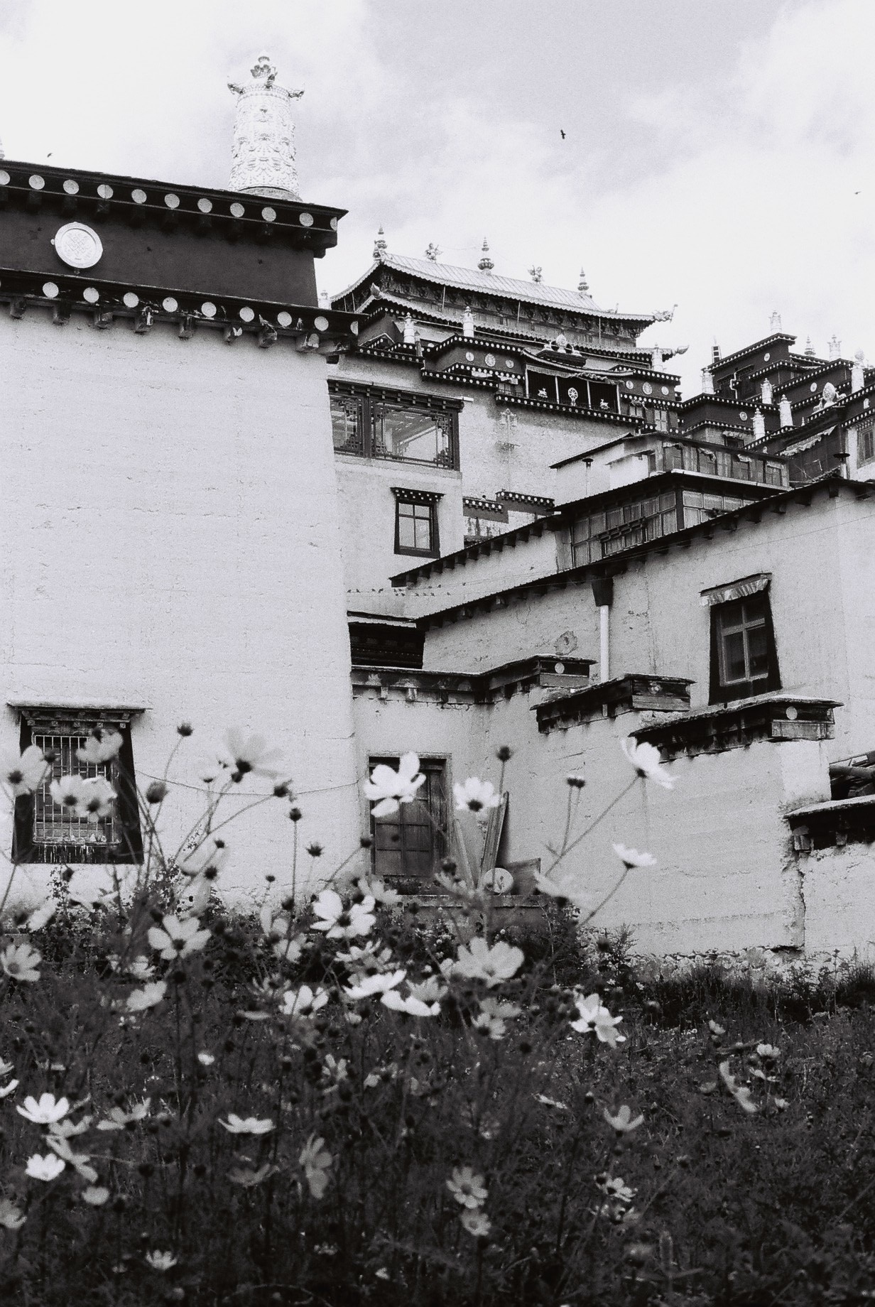 Flitto Content [PENEMUAN Foto foto Hitam Putih yang